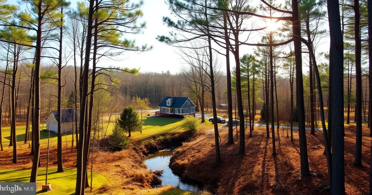 Rural single-family home on a wooded lot surrounded by tall pine trees in the Deep Creek area of Chesapeake, Virginia at golden hour